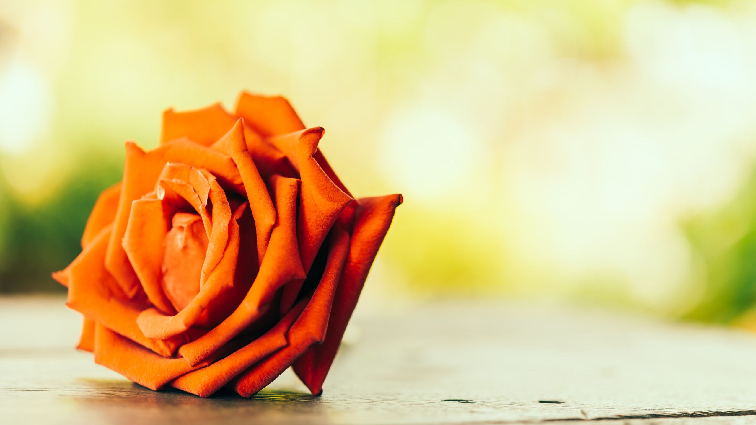 Physio & Craniosacral Therapie Bärbel Rose